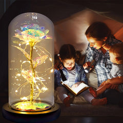 Artificial Glass Flower with Eternal Rose of the LED Light for Women