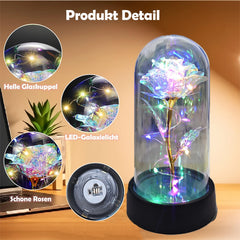 Artificial Glass Flower with Eternal Rose of the LED Light for Women