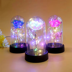 Artificial Glass Flower with Eternal Rose of the LED Light for Women